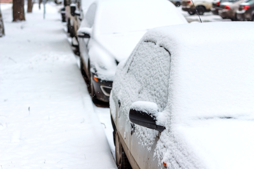 Cars covered in snow.